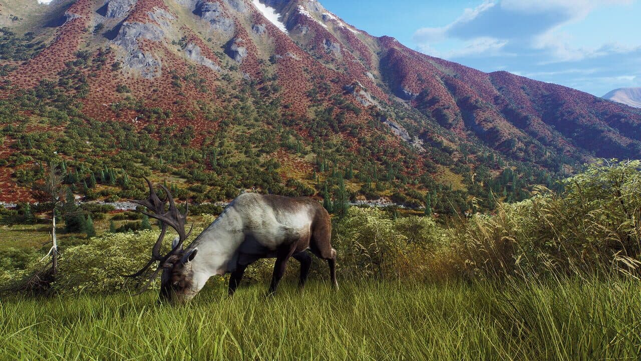 Way of the Hunter: Aurora Shores thumbnail 19