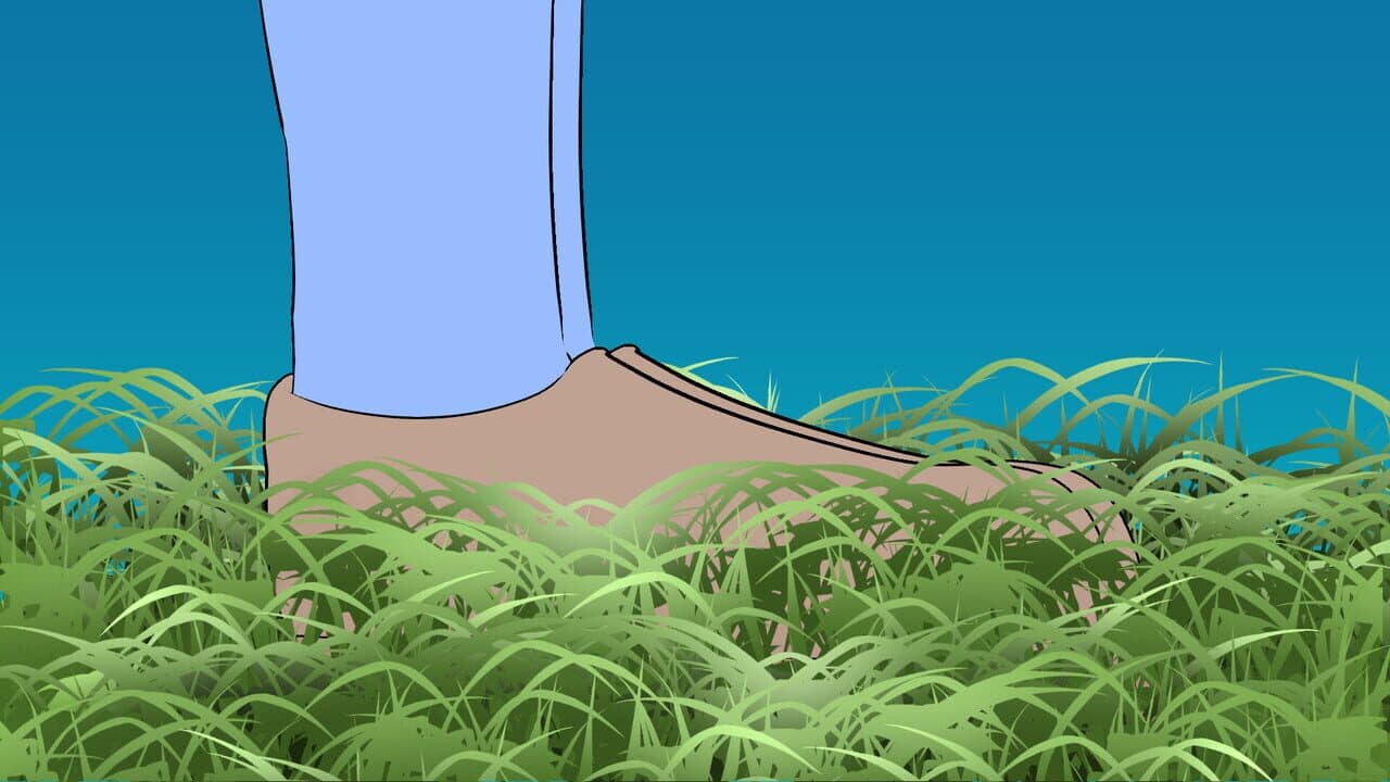 Walk and Stroll thumbnail 5