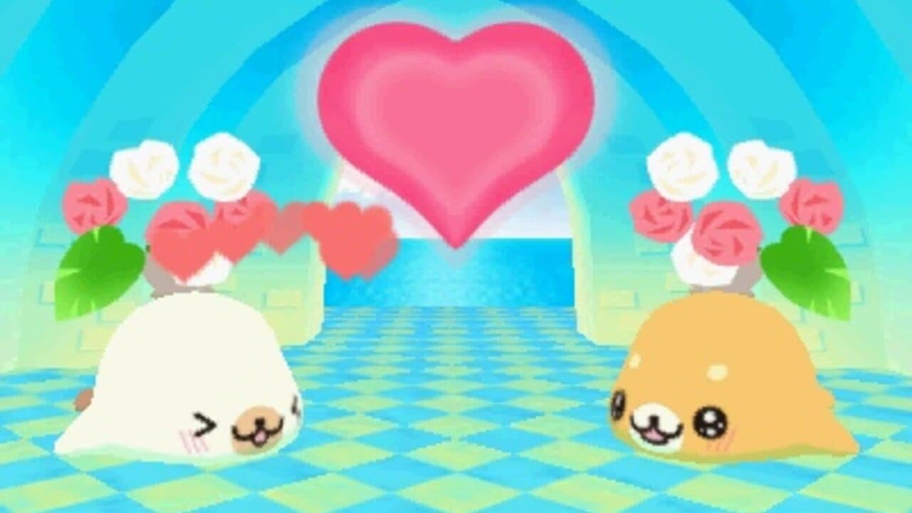 Mamegoma Yoi Ko Marui Ko Genki na Ko! thumbnail 10