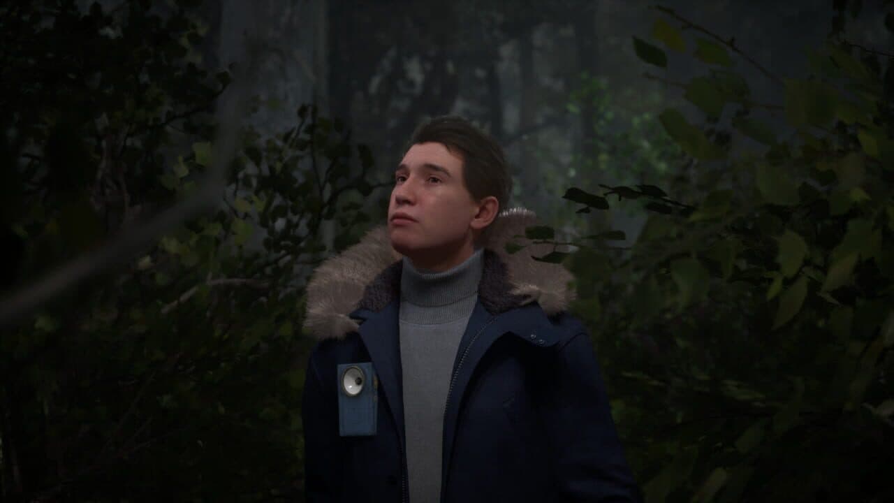 Stray Souls thumbnail 2