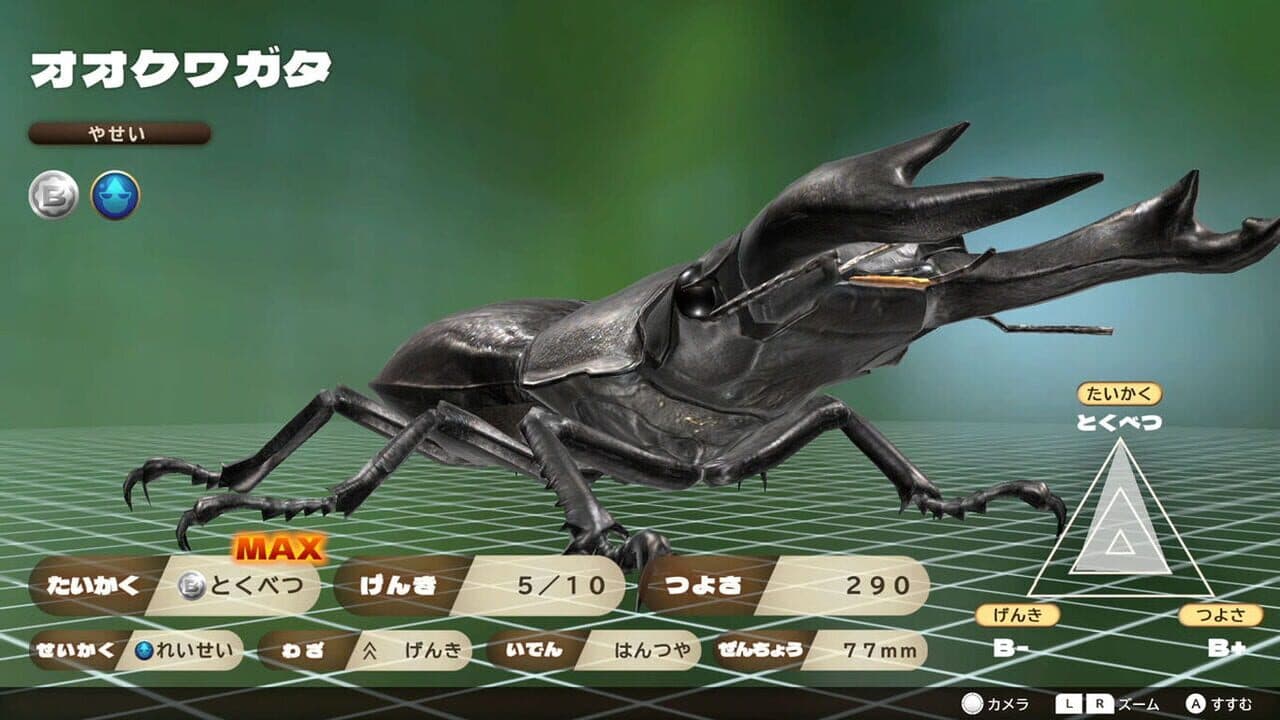 Kabuto Kuwagata thumbnail 4
