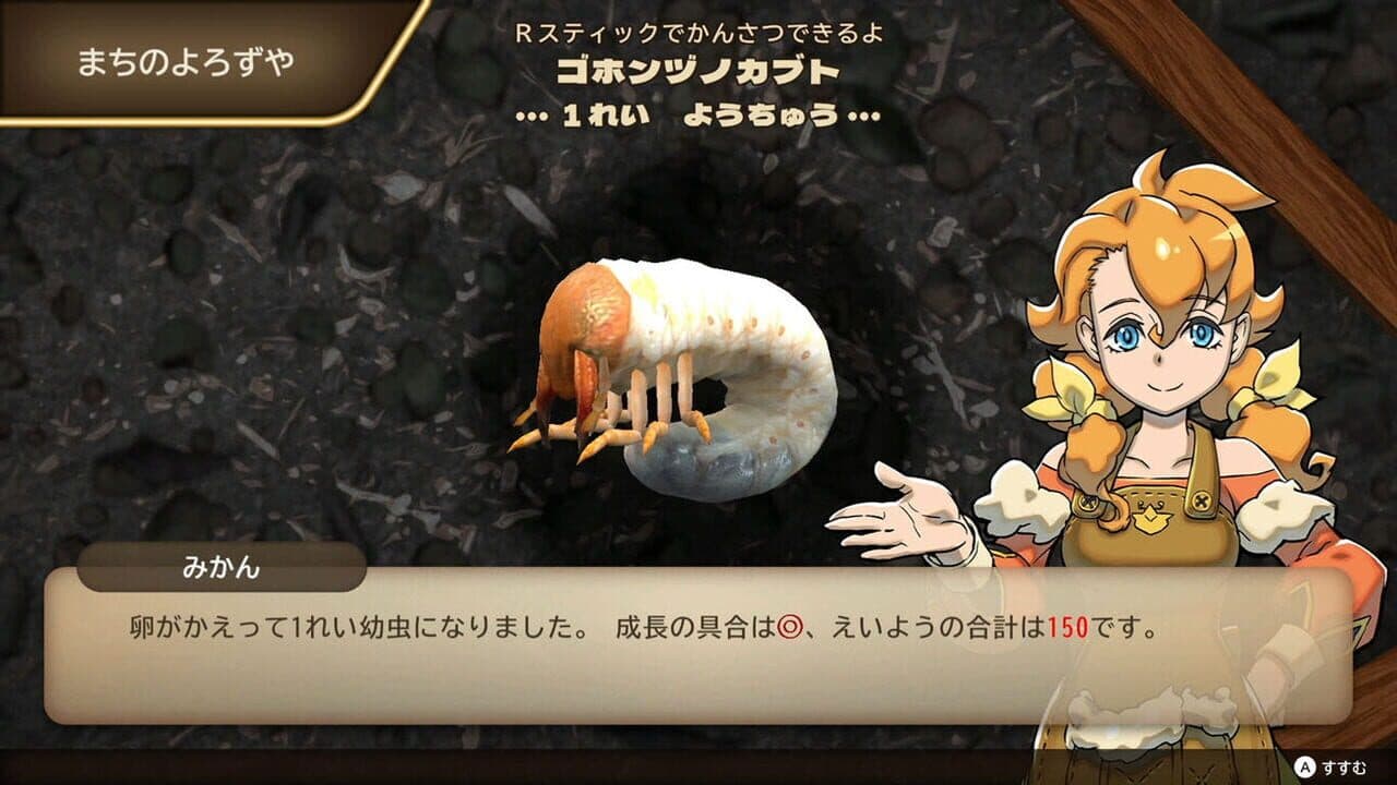 Kabuto Kuwagata thumbnail 7