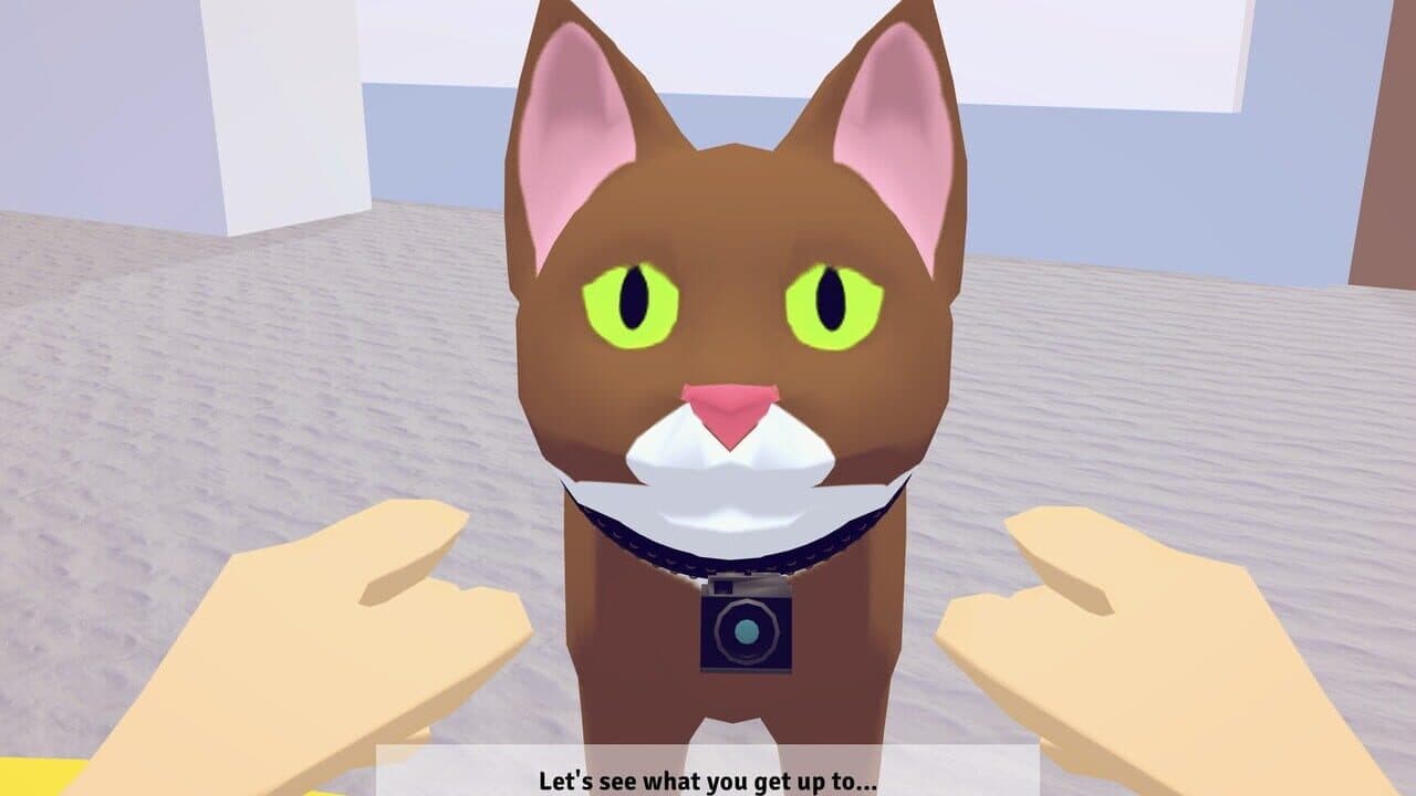 Point of Mew thumbnail 2