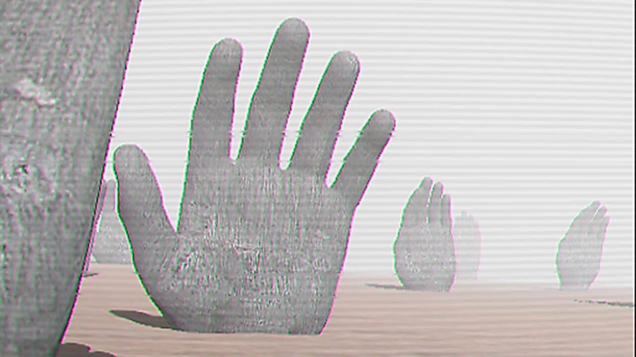 Ibis AM thumbnail 4