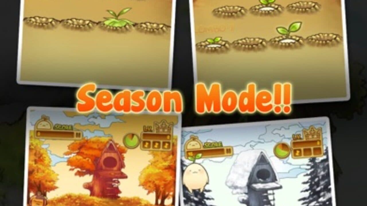 Mandora thumbnail 5