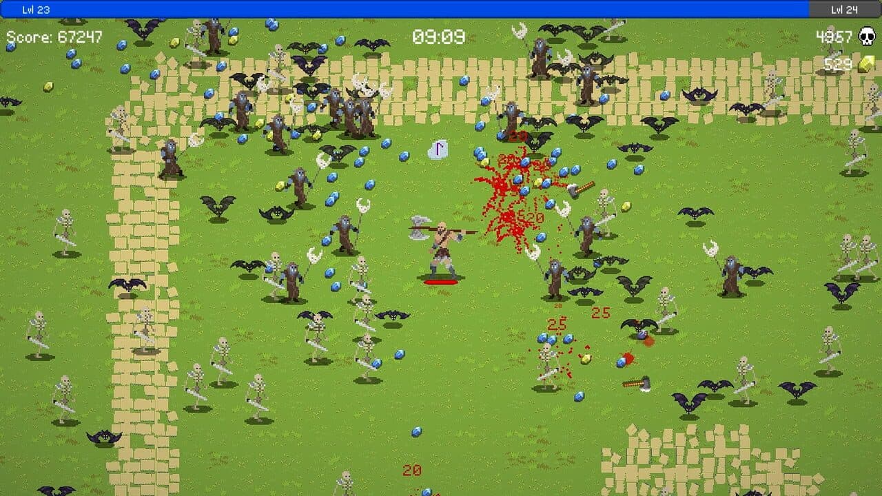 Viking Survivors thumbnail 2