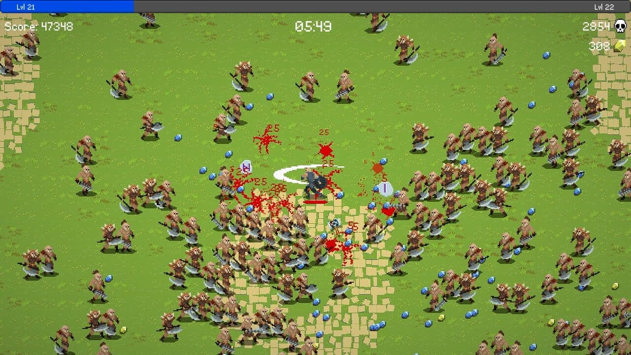 Viking Survivors thumbnail 9