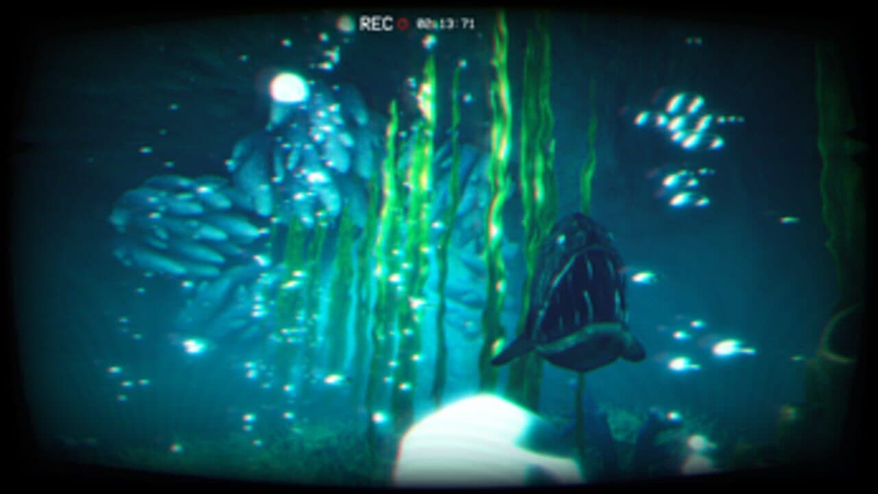 Sharkphobia thumbnail 5