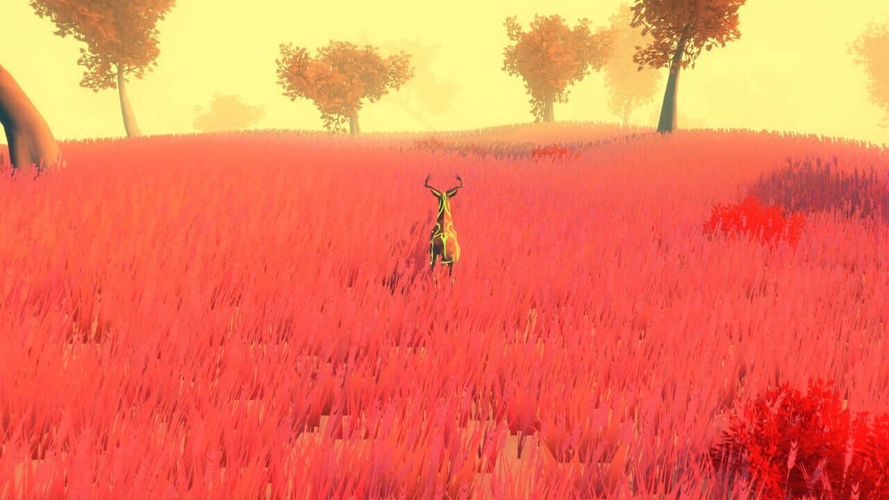 Bold thumbnail 32