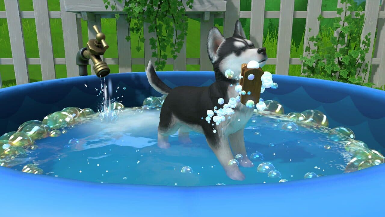 Little Friends: Puppy Island thumbnail 5