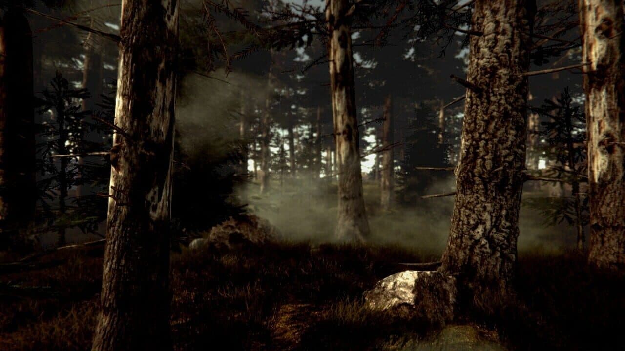 Dr. Emmerson's Nocturnes thumbnail 5