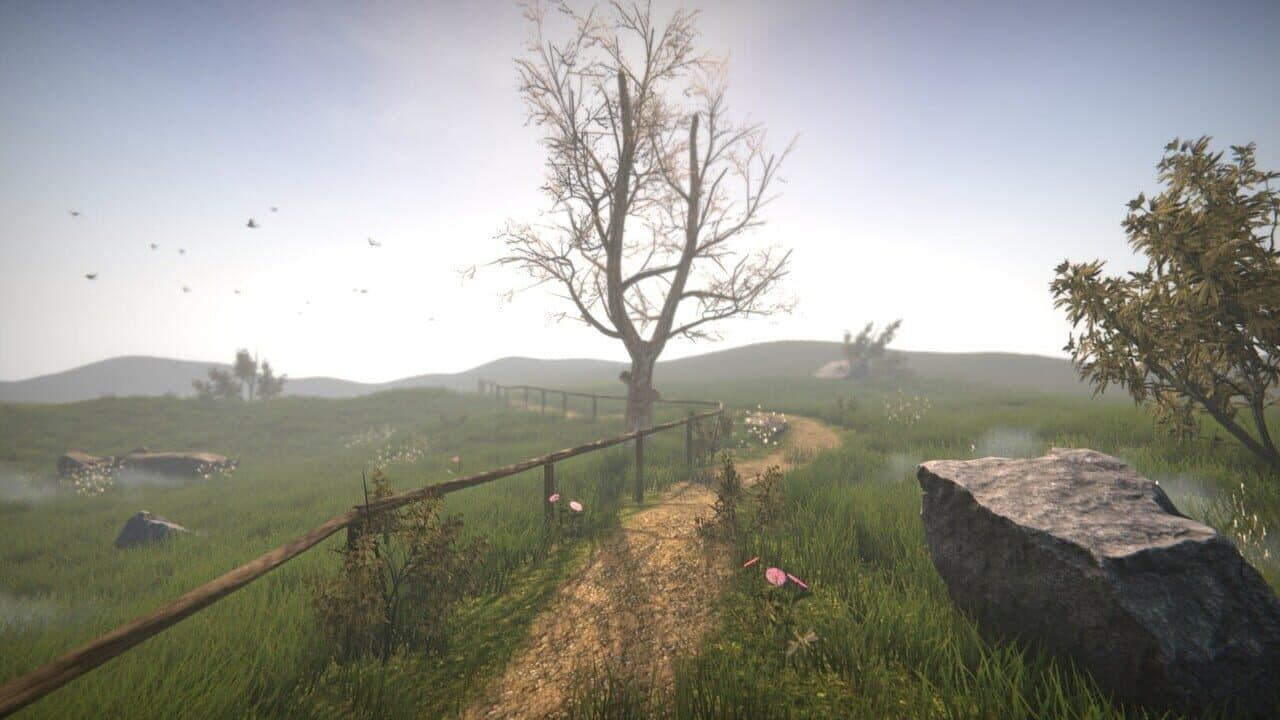 Dr. Emmerson's Nocturnes thumbnail 4