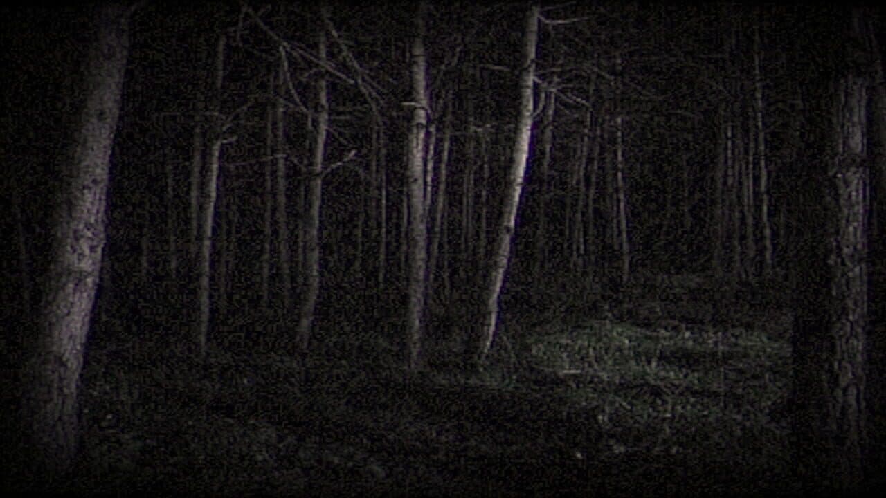 I Can See You thumbnail 4