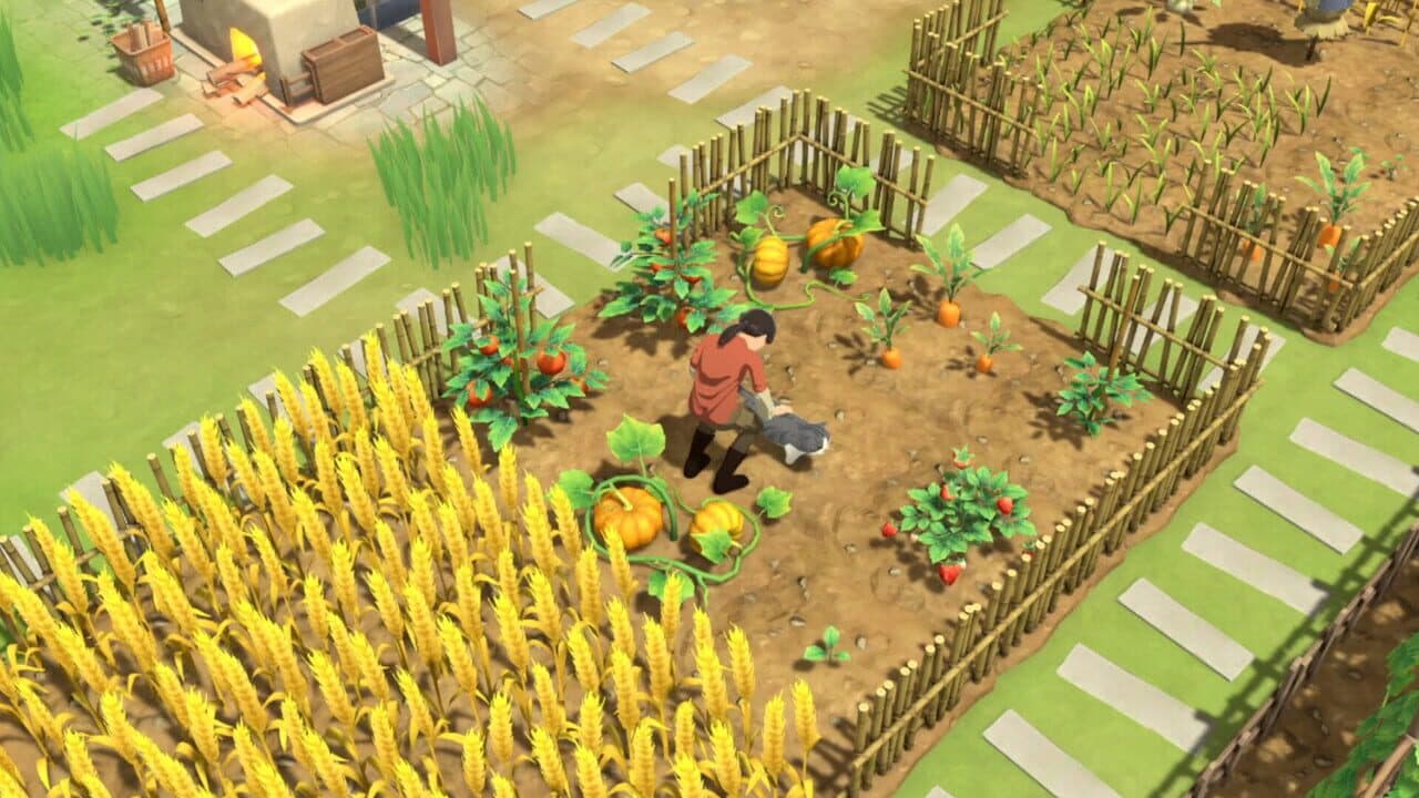 Litchi Town thumbnail 6