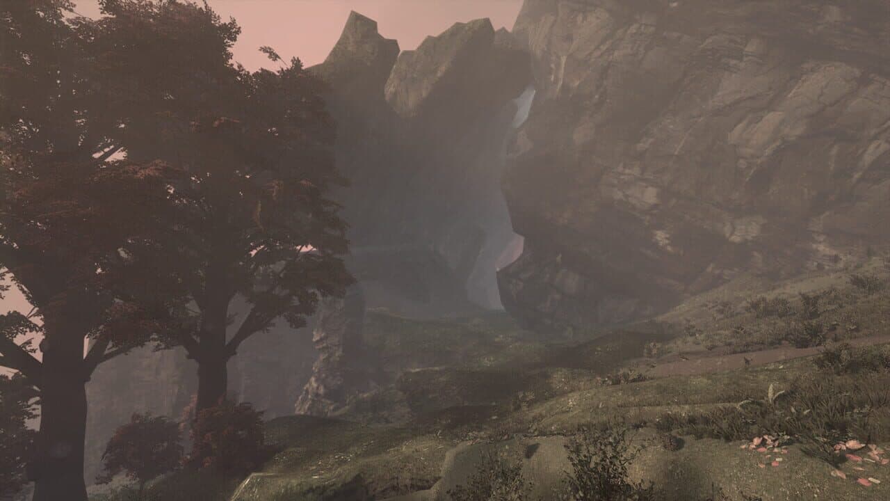 Dynasthir thumbnail 9