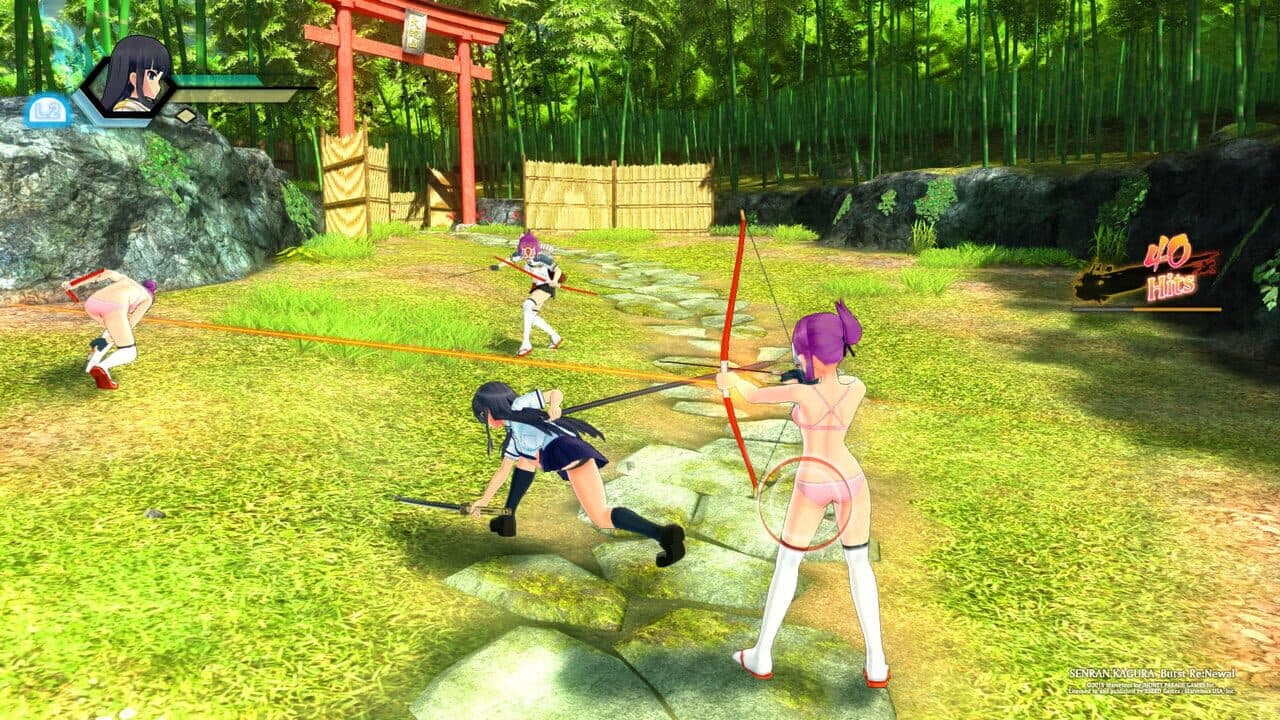 Senran Kagura Burst Re:Newal - Tailor-Made Edition thumbnail 4