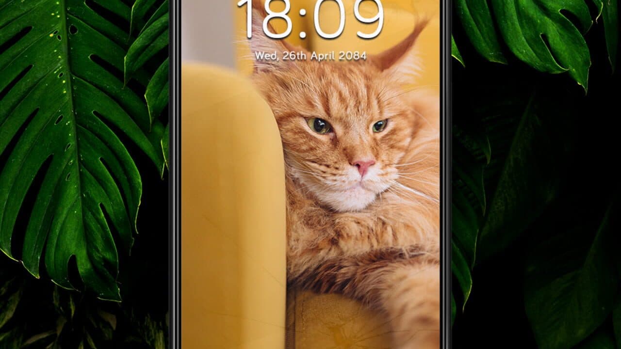 A Phone Found in Tall Grass thumbnail 2