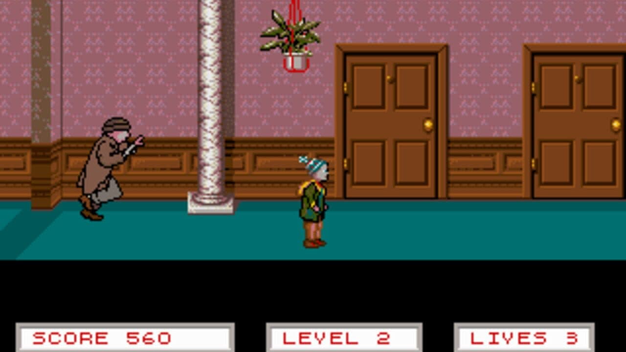 Home Alone 2: Lost in New York thumbnail 4