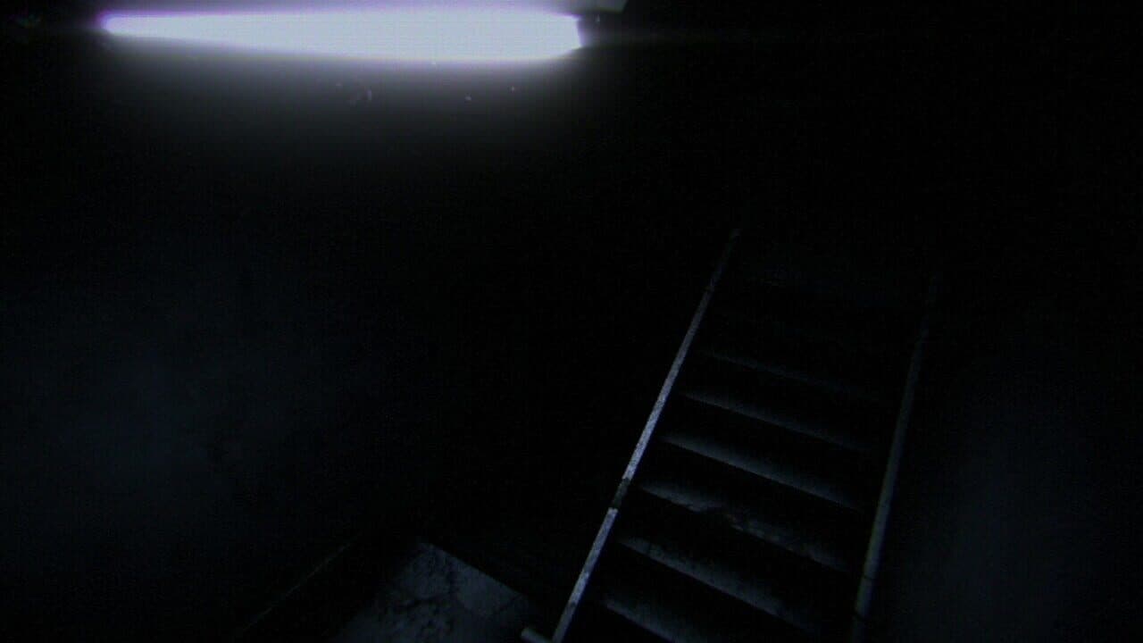 Night Security screenshot 1
