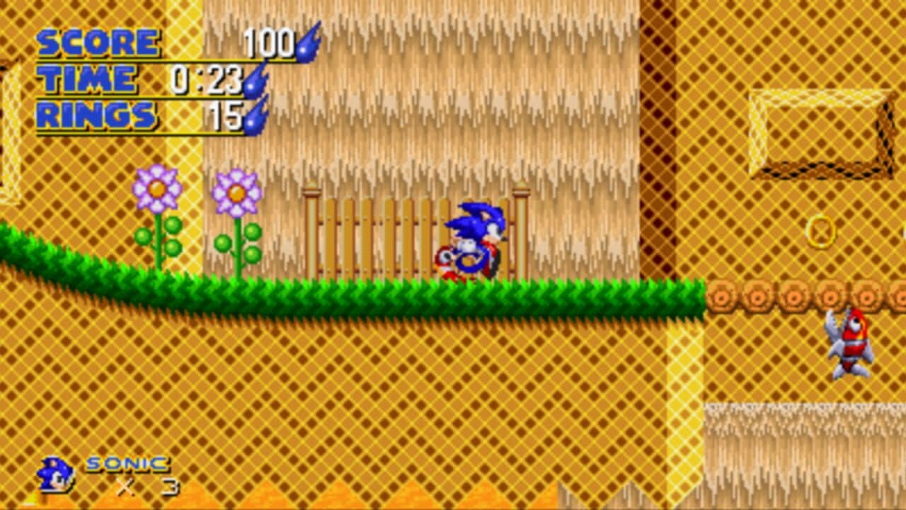 Sonic: Project Survival thumbnail 4