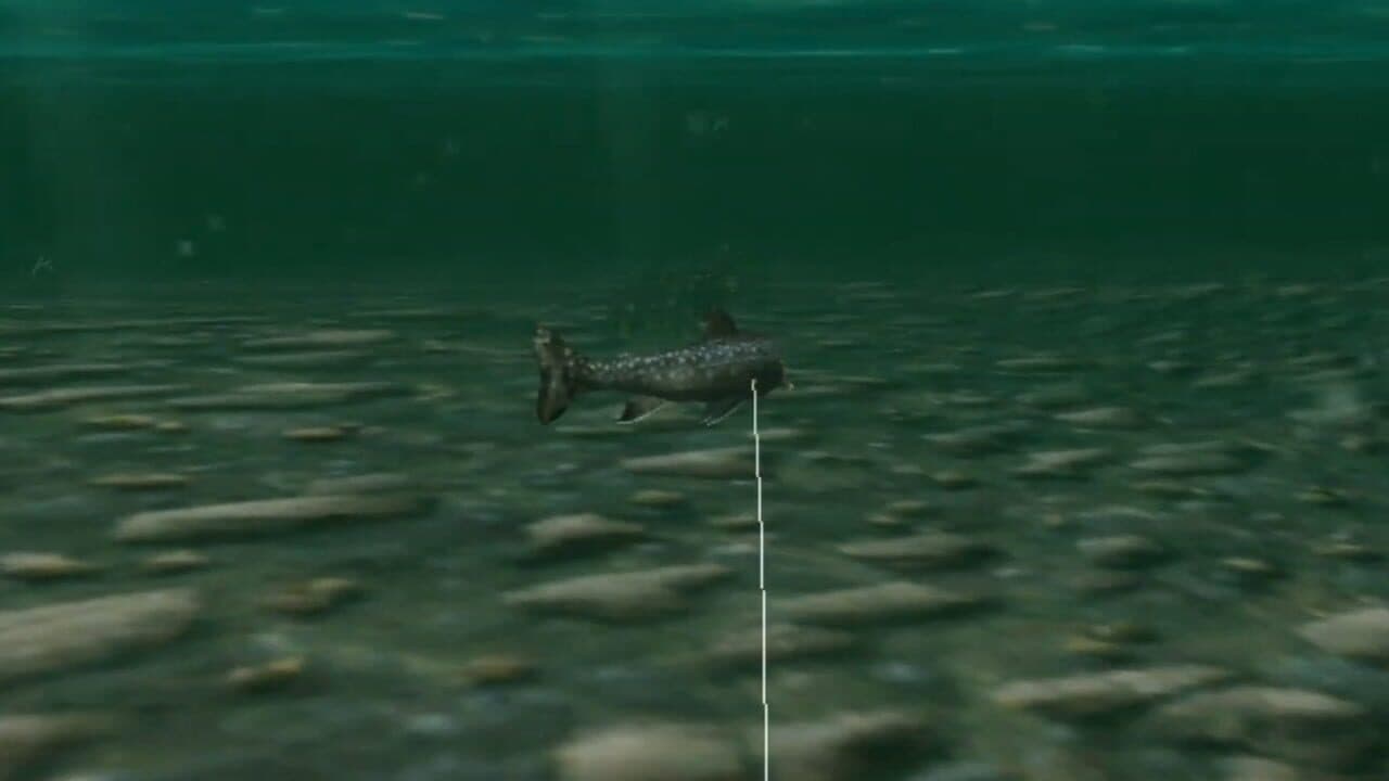 Reel Fishing: Wild thumbnail 3