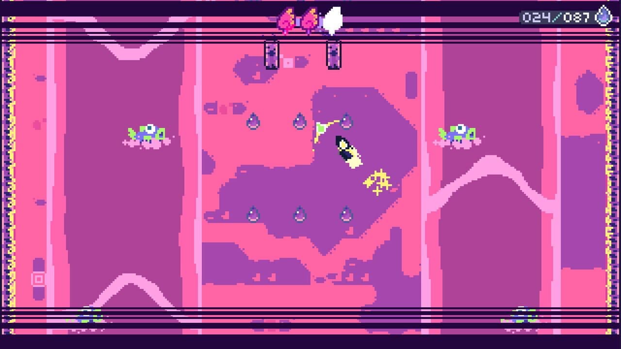 Don Salmon thumbnail 6