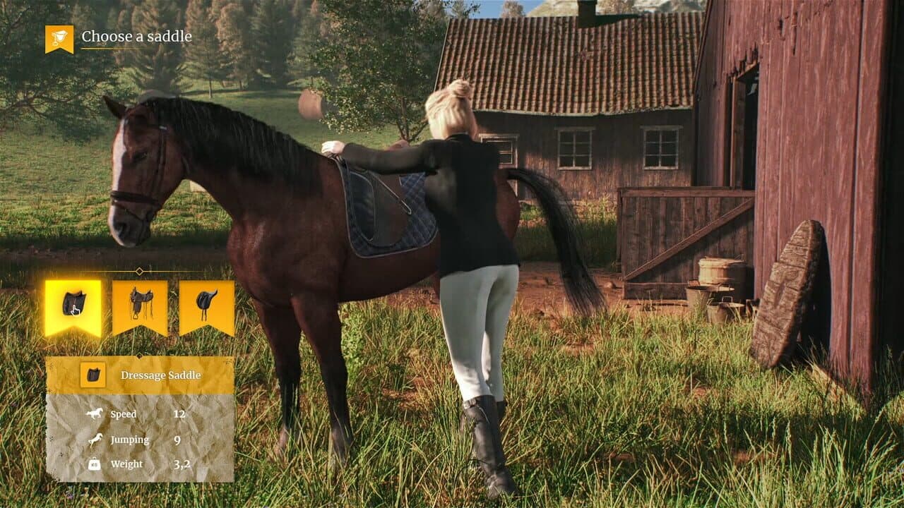 My Horse: Bonded Spirits thumbnail 5