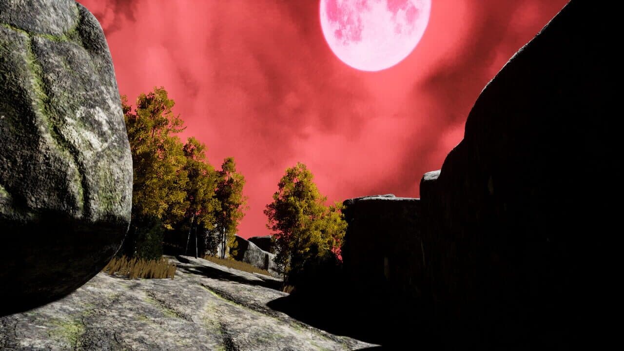 The Voyager thumbnail 8