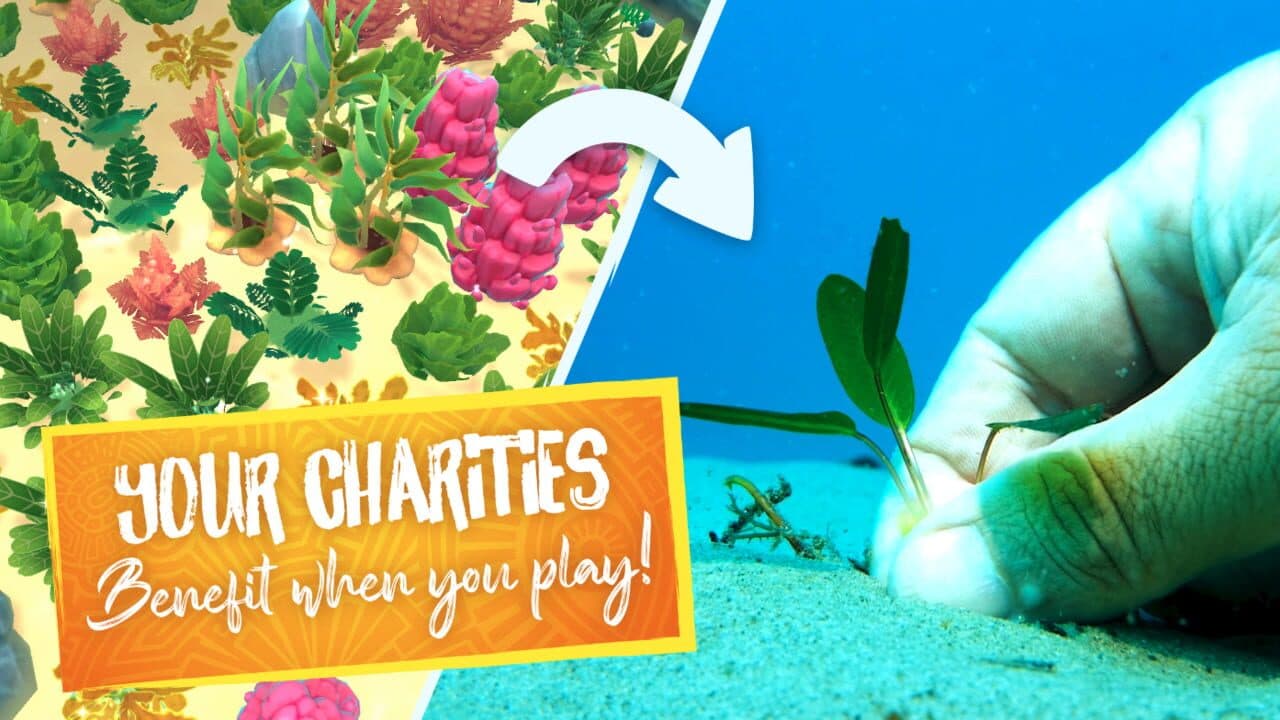 Katoa thumbnail 2