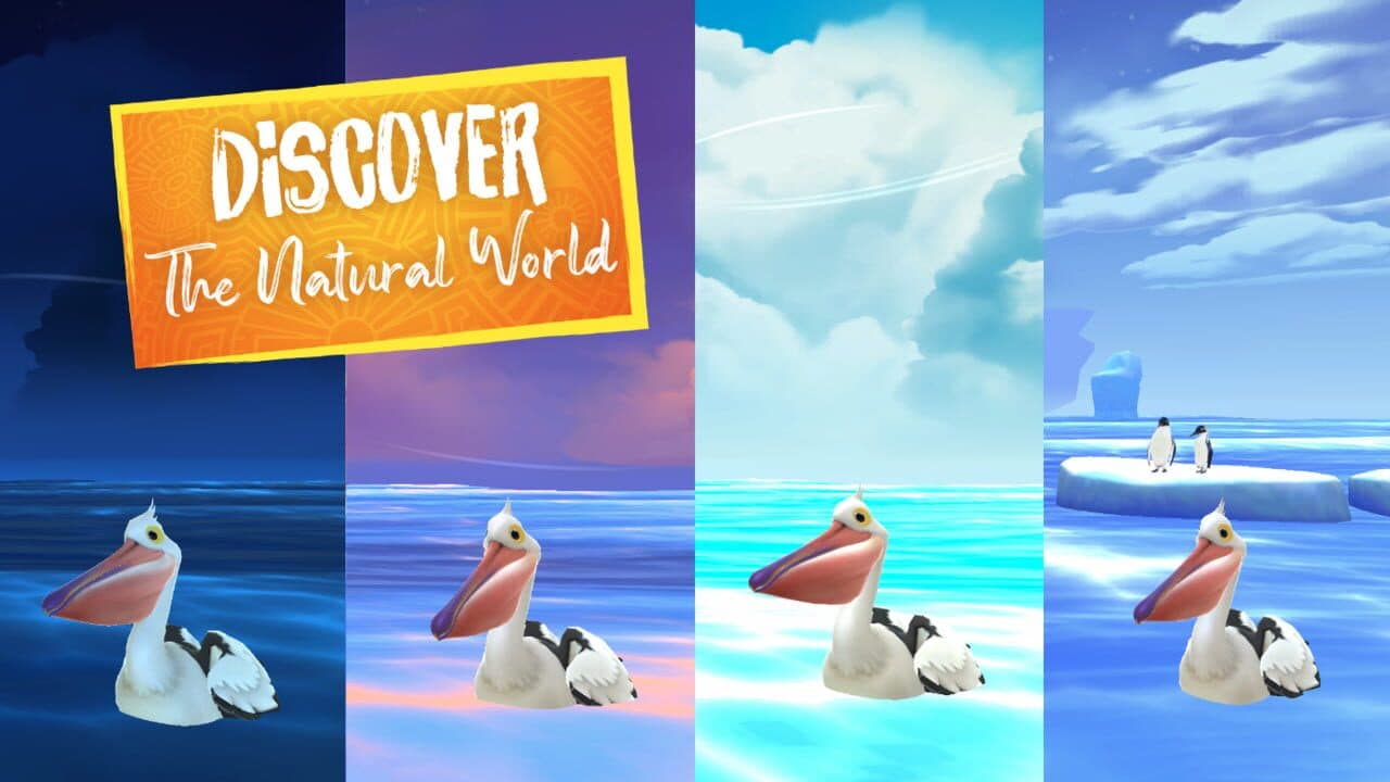 Katoa thumbnail 4