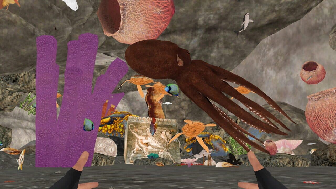 Zosu Ocean VR thumbnail 11
