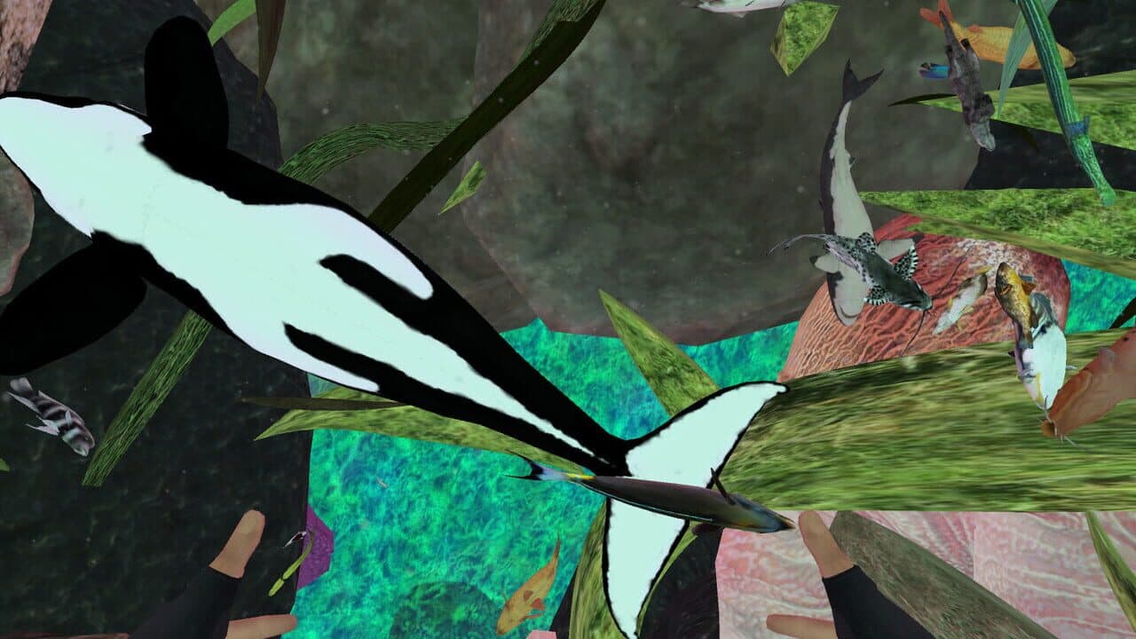 Zosu Ocean VR thumbnail 13