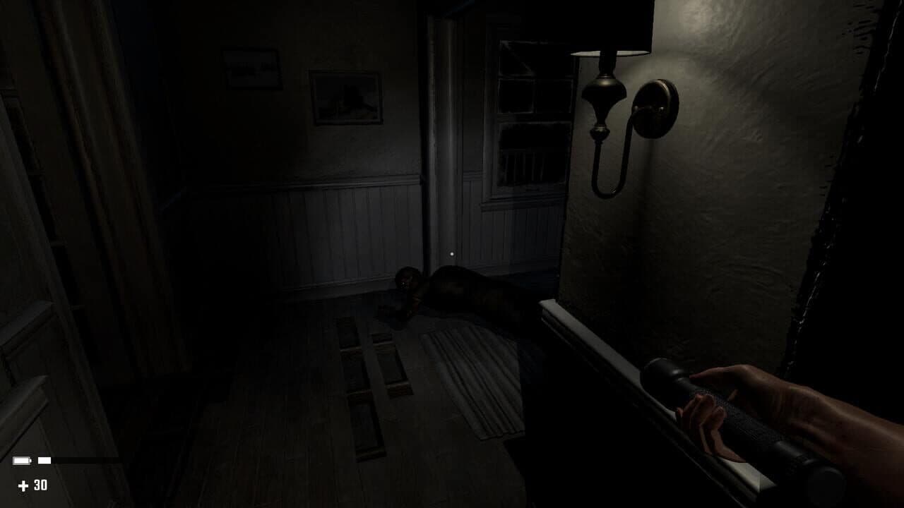 Panic House thumbnail 9