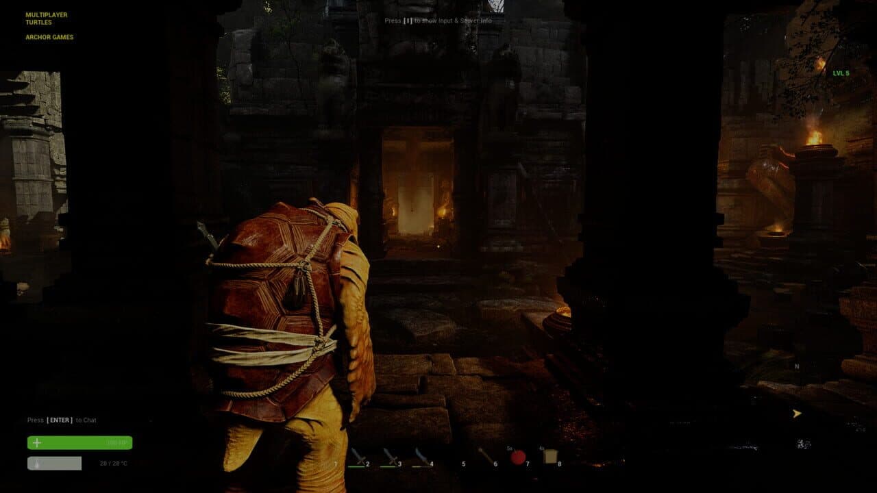Multiplayer Turtles thumbnail 7