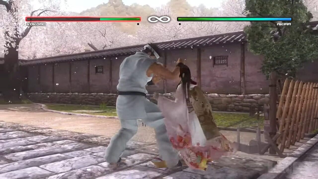 Dead or Alive 5: Collector's Edition thumbnail 2