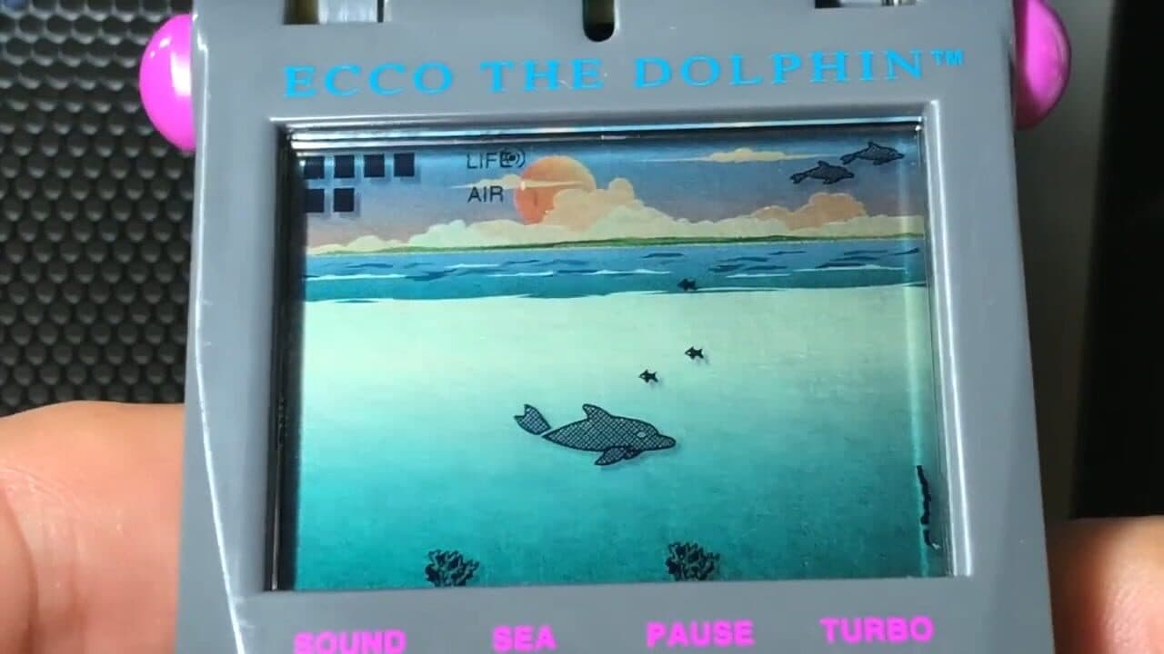 Ecco the Dolphin thumbnail 2