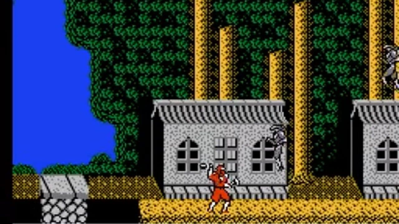 Ninja Crusaders thumbnail 3