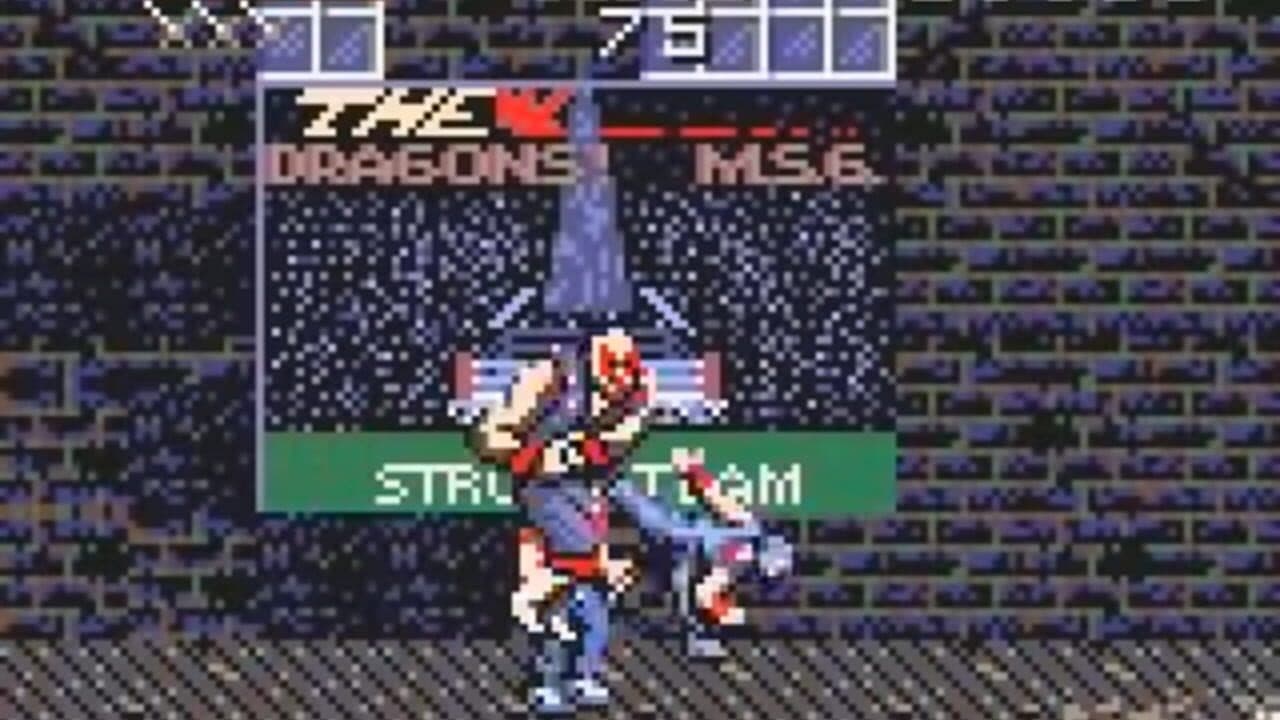 Ninja Gaiden thumbnail 2