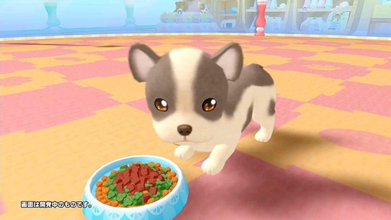 Pups & Purrs Pet Shop thumbnail 3
