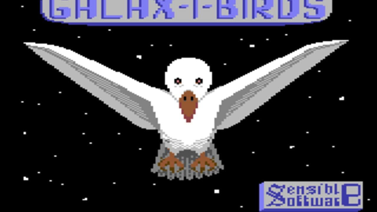 Galax-i-Birds screenshot 1