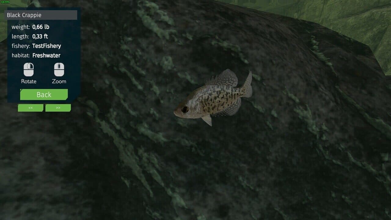 Ultimate Fishing Simulator: Aquariums DLC thumbnail 6