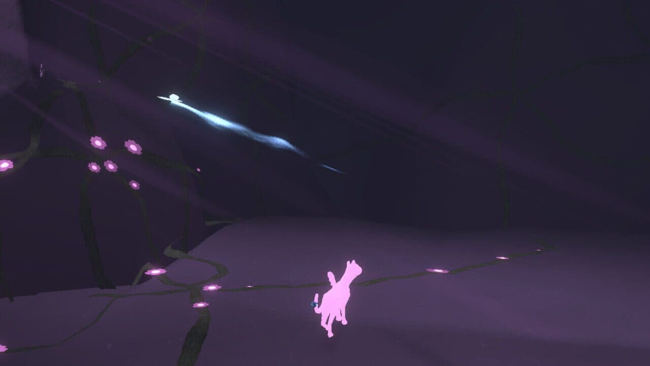 Light of Coco thumbnail 5