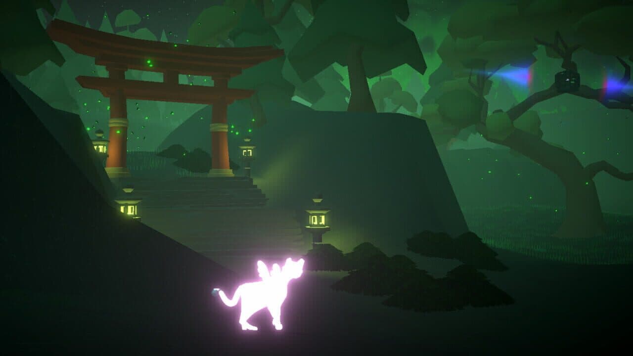 Light of Coco thumbnail 7
