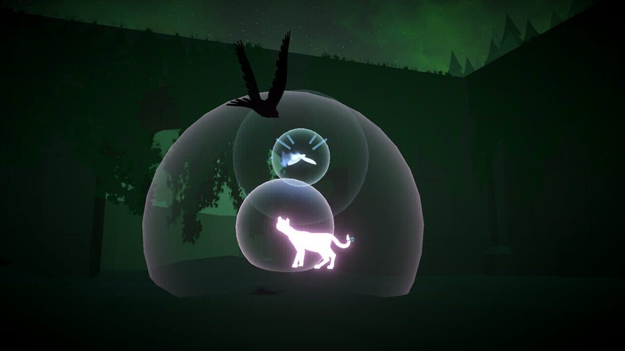 Light of Coco thumbnail 8