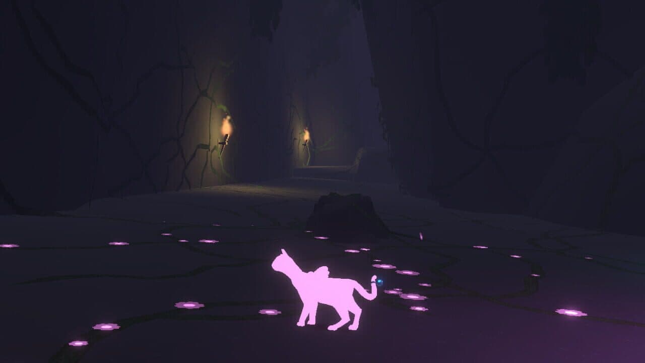Light of Coco thumbnail 6