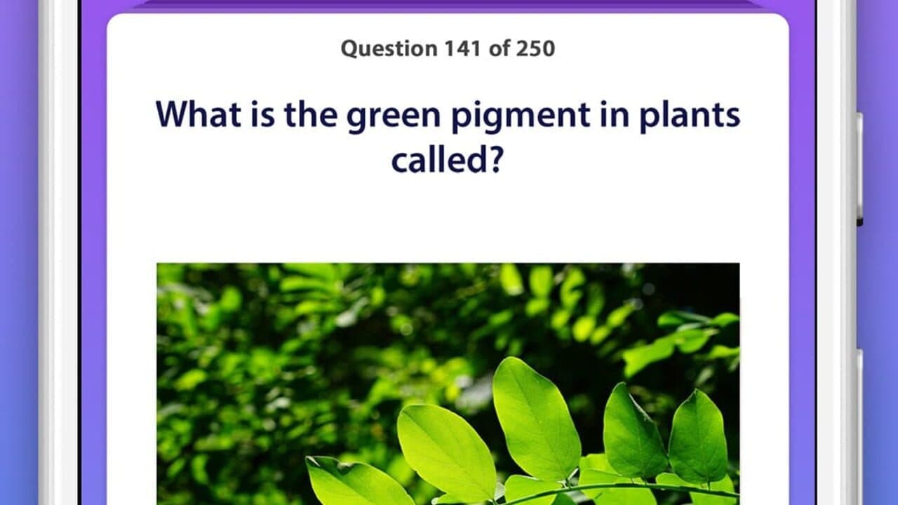 General Knowledge Quiz thumbnail 2