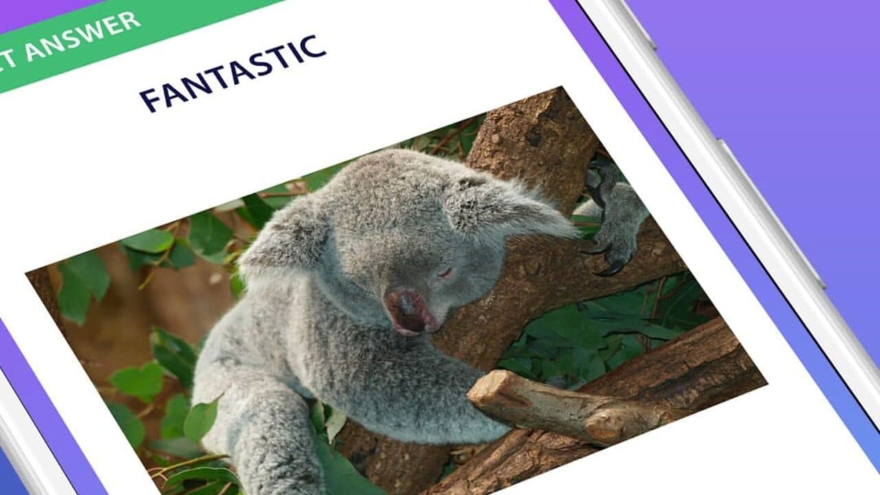 General Knowledge Quiz thumbnail 4
