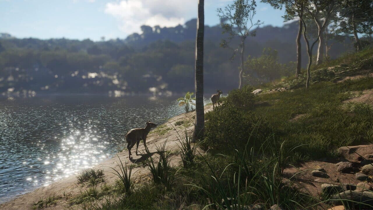 theHunter: Call of the Wild - Emerald Coast Australia thumbnail 5