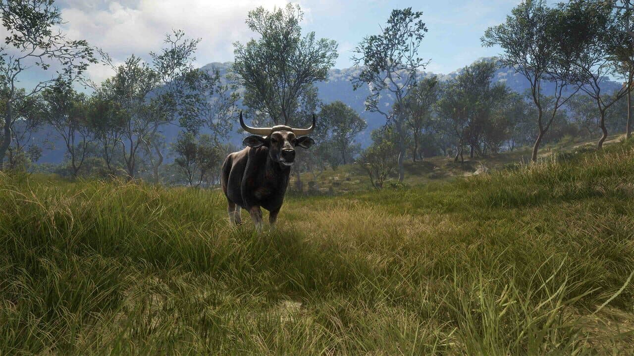 theHunter: Call of the Wild - Emerald Coast Australia thumbnail 7