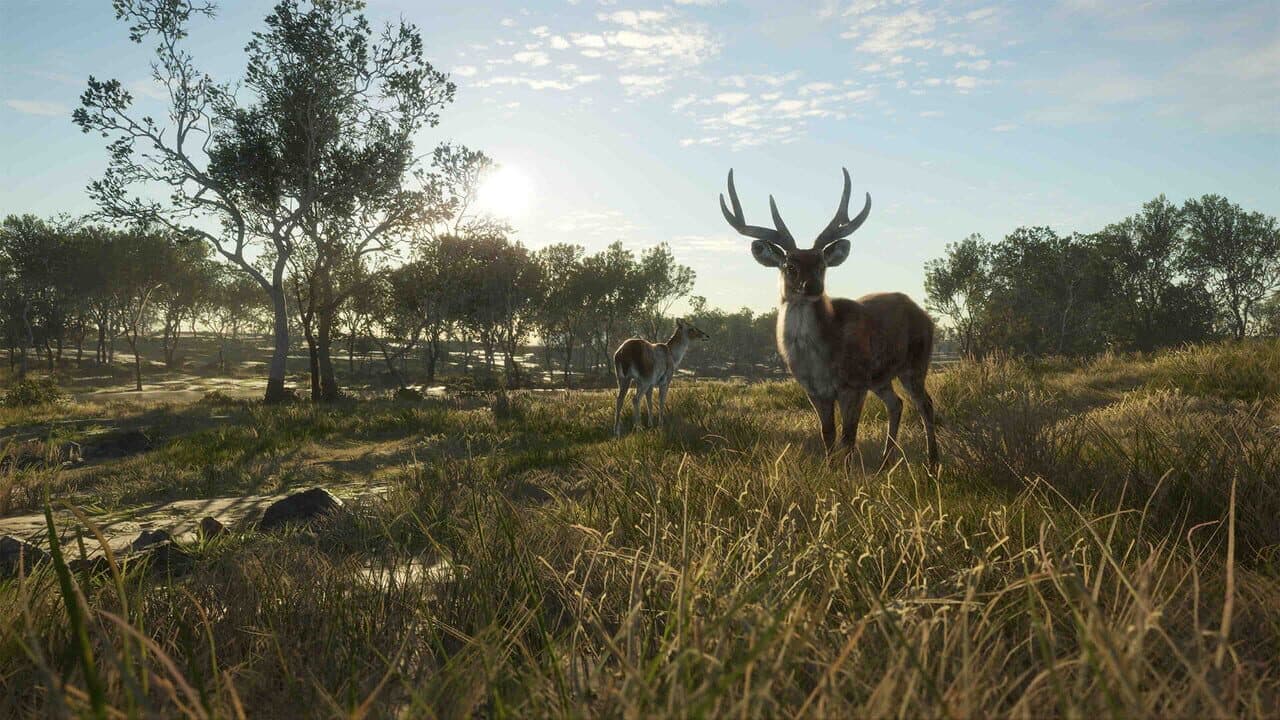 theHunter: Call of the Wild - Emerald Coast Australia thumbnail 11